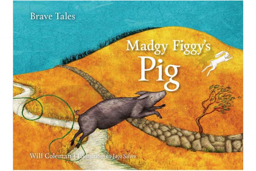 Madgy Figgy's book cover