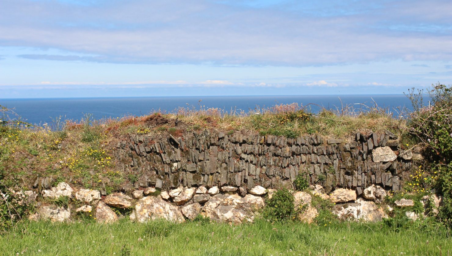 Kerdroya cornish hedge in Boscastle