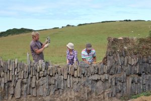 Kerdroya is about celebrating the aesthetics of distinct hedging styles from 12 Cornish locations