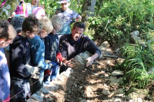 Cornish hedging classes at Tehidy